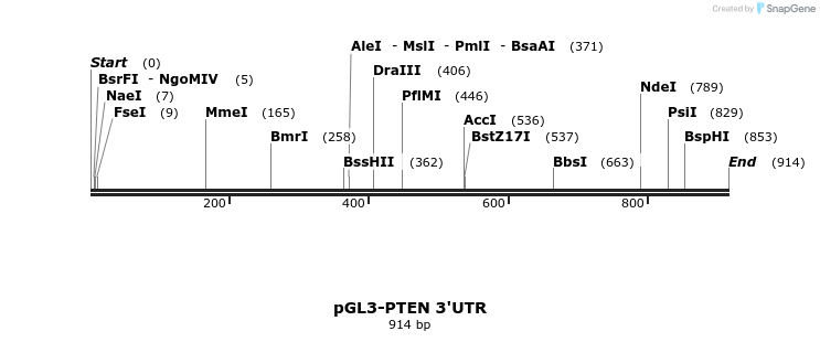 34411_map