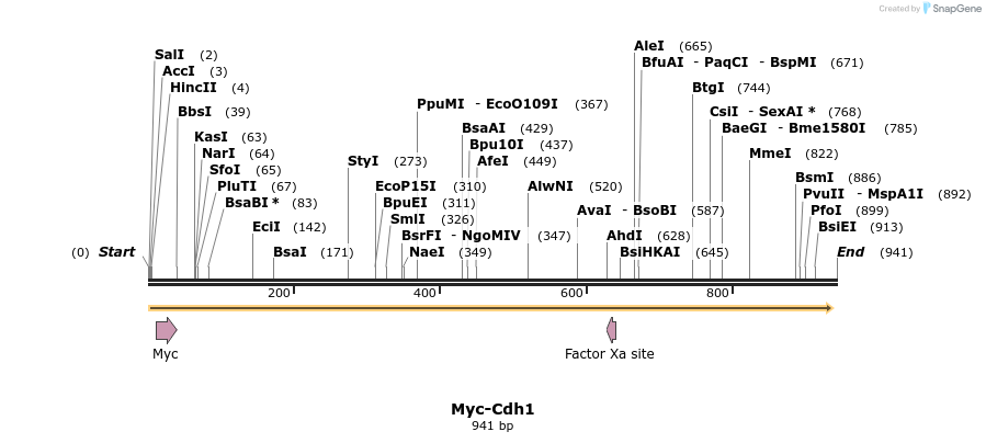 34415_map