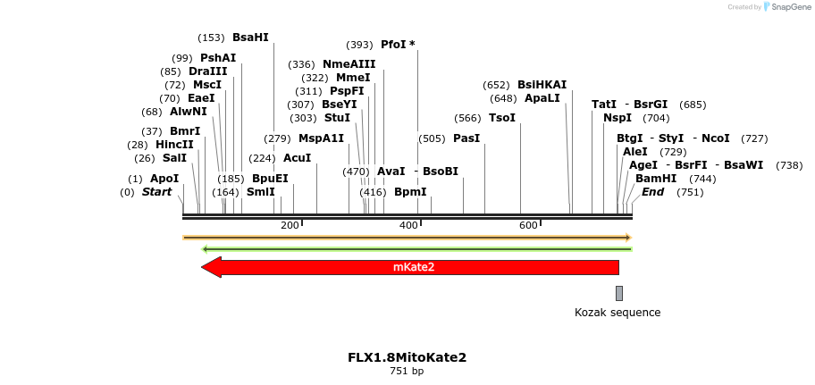 34422_map