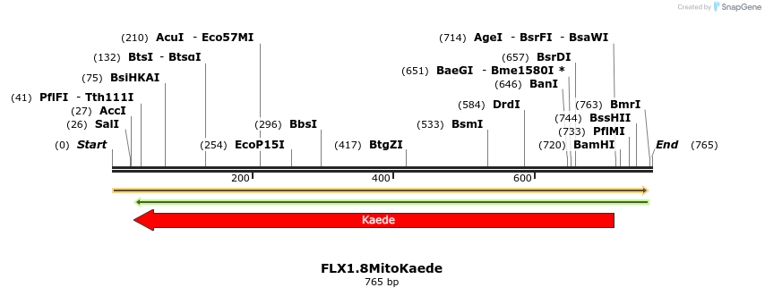 34423_map