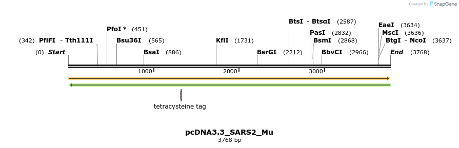 344436_map