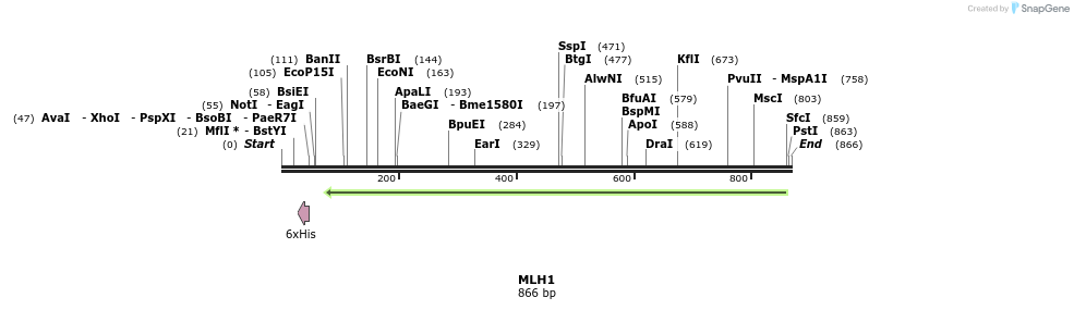 34444_map