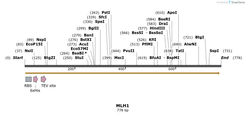 34445_map