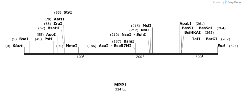 34446_map
