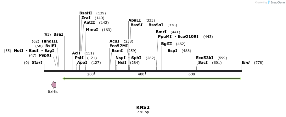 34447_map