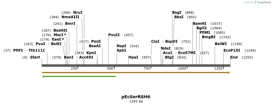 344493_map