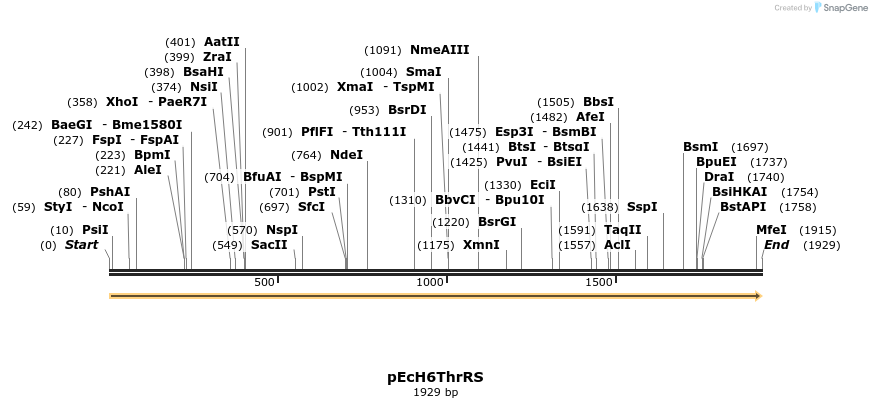 344495_map