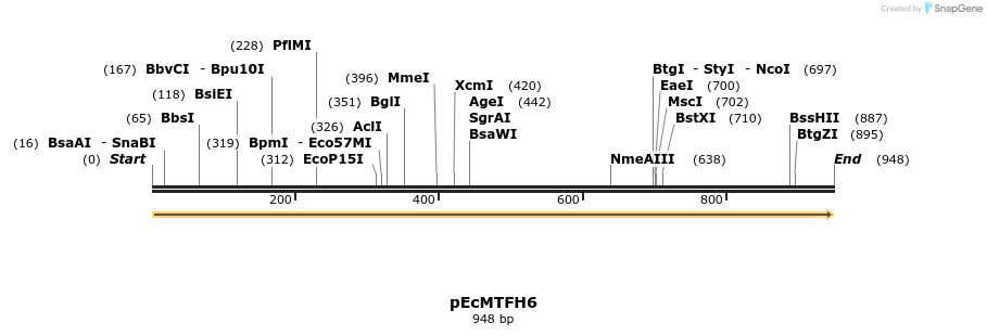 344503_map