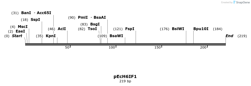 344505_map