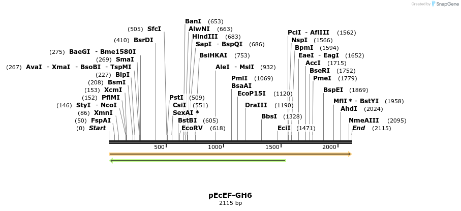 344511_map