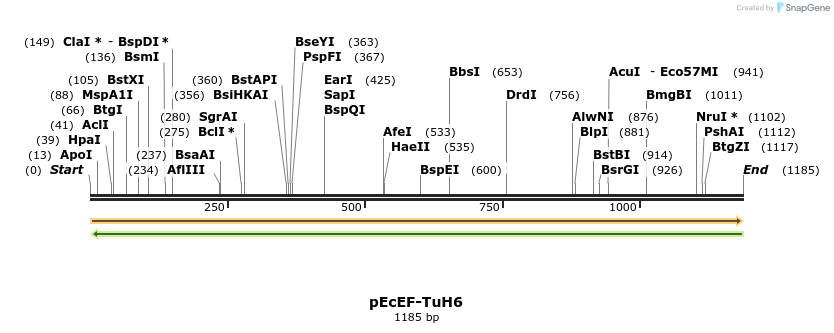 344513_map