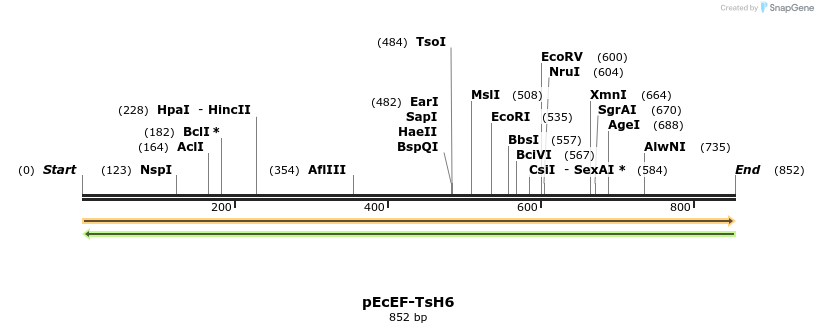 344515_map