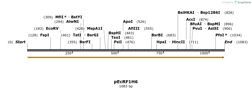 344517_map
