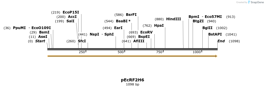 344519_map
