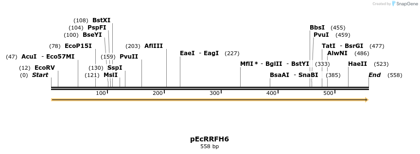 344523_map