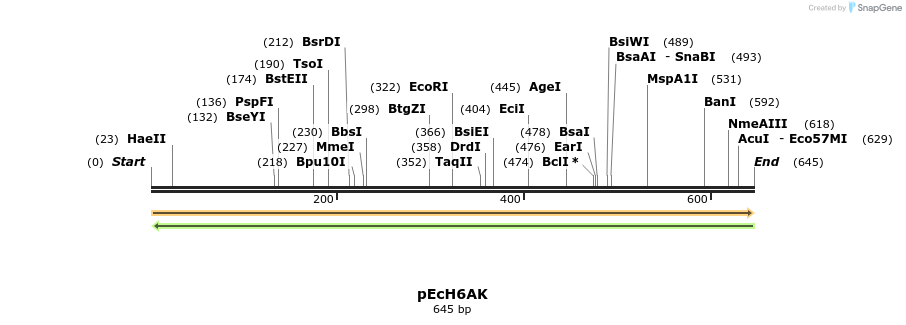 344525_map