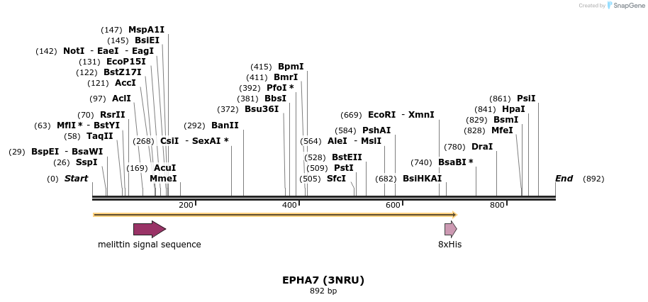 34454_map