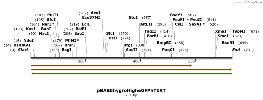 34455_map