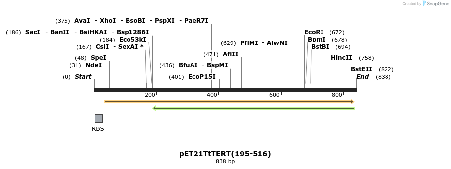 34458_map
