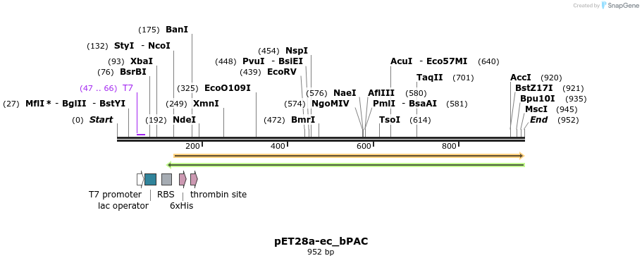 34463_map