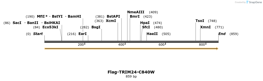 34466_map
