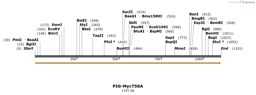 344669_map