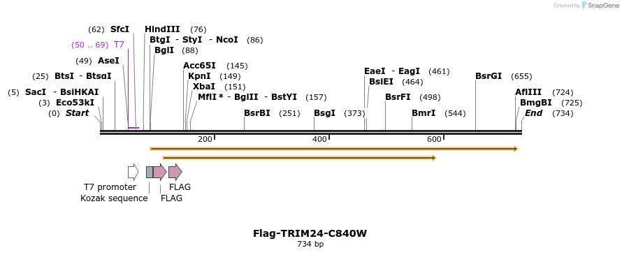 34467_map