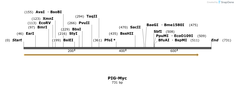 344672_map