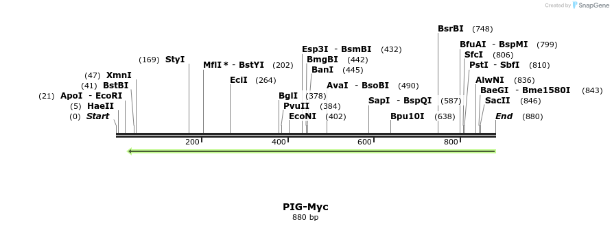344673_map
