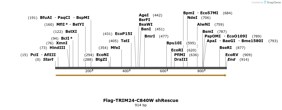 34468_map