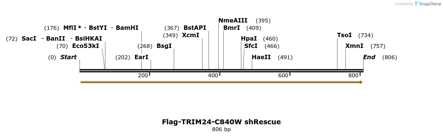 34469_map