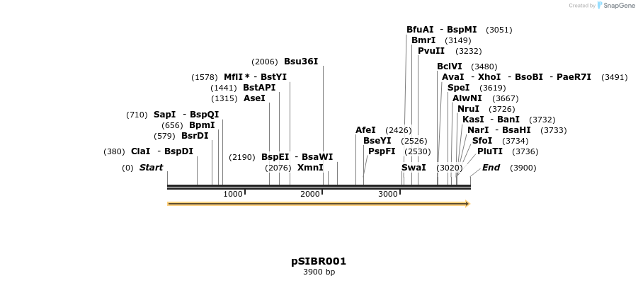 344695_map