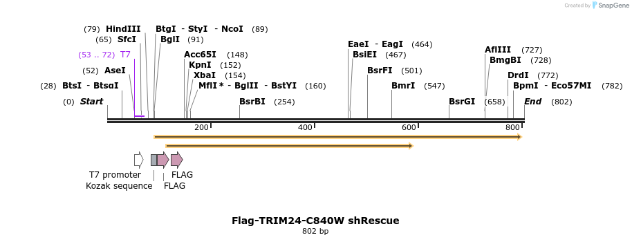 34470_map