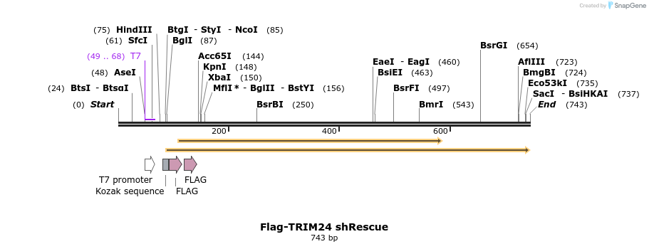 34473_map