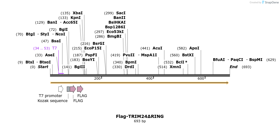 34474_map