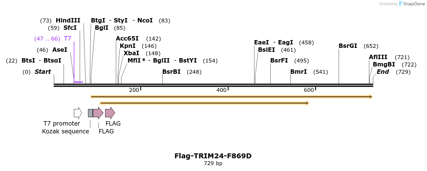 34477_map