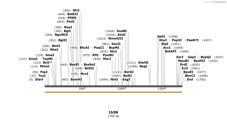 344773_map