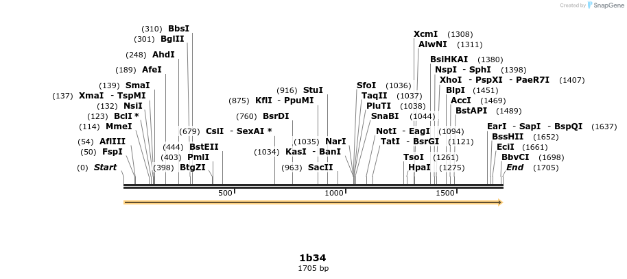344779_map