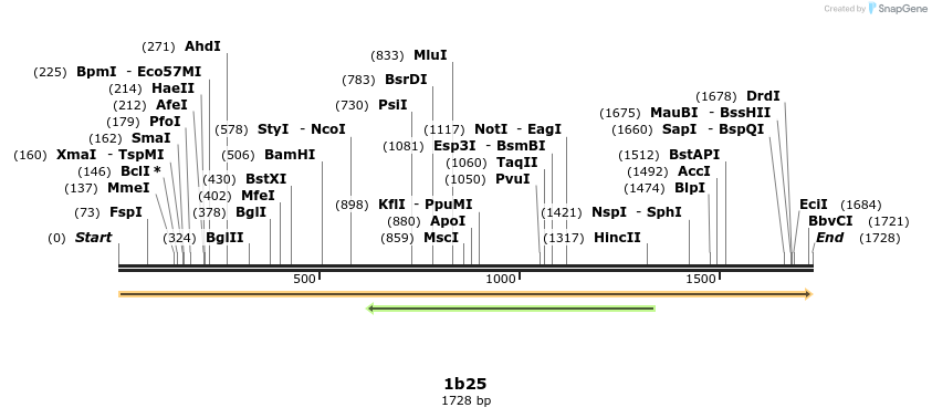 344781_map