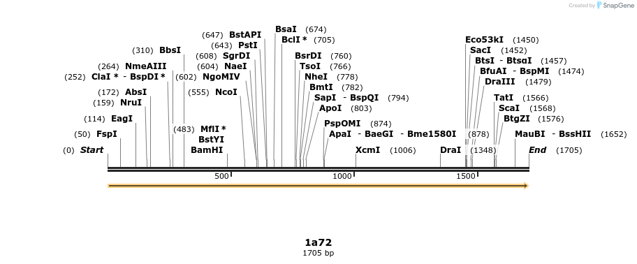 344784_map
