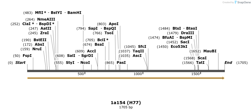 344785_map