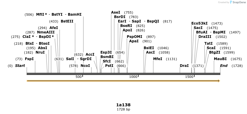 344786_map