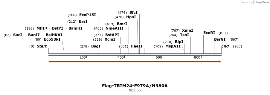 34479_map