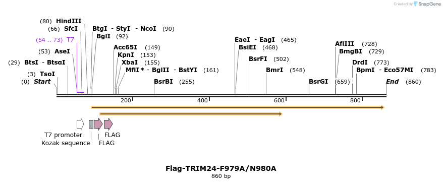 34480_map