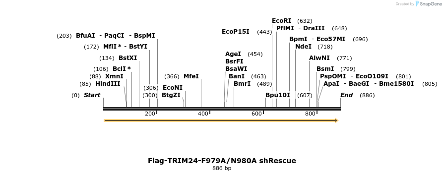 34481_map