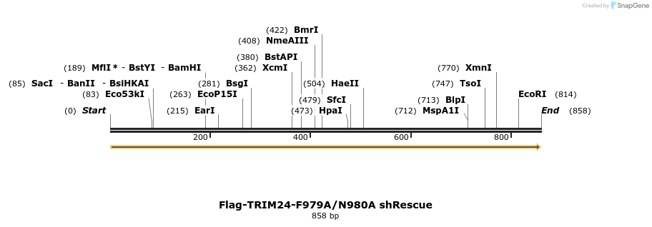 34482_map