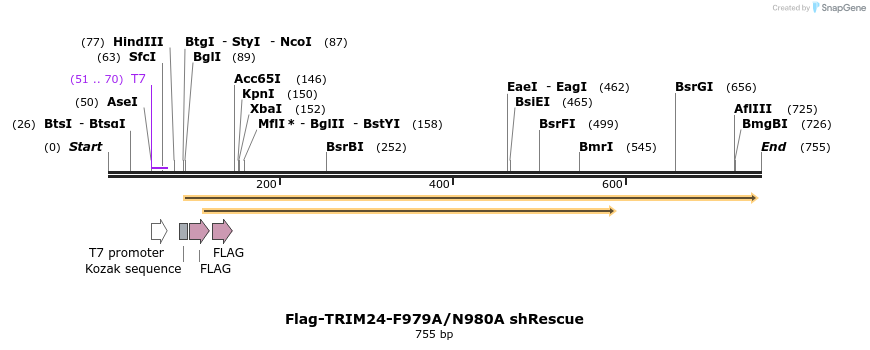 34483_map