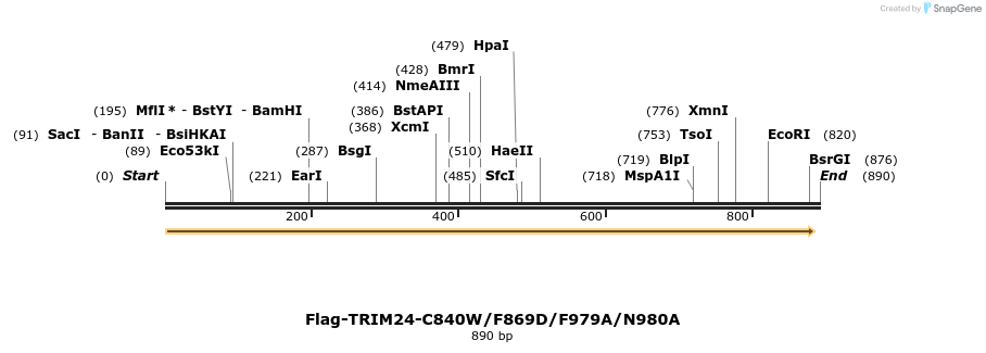 34485_map