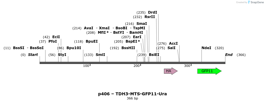 344869_map