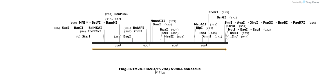 34487_map